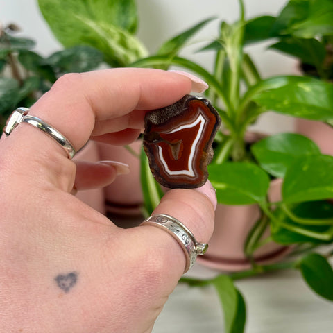 Indi Czechia Agate