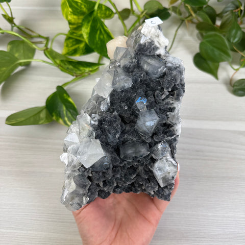 Zeolite Specimen