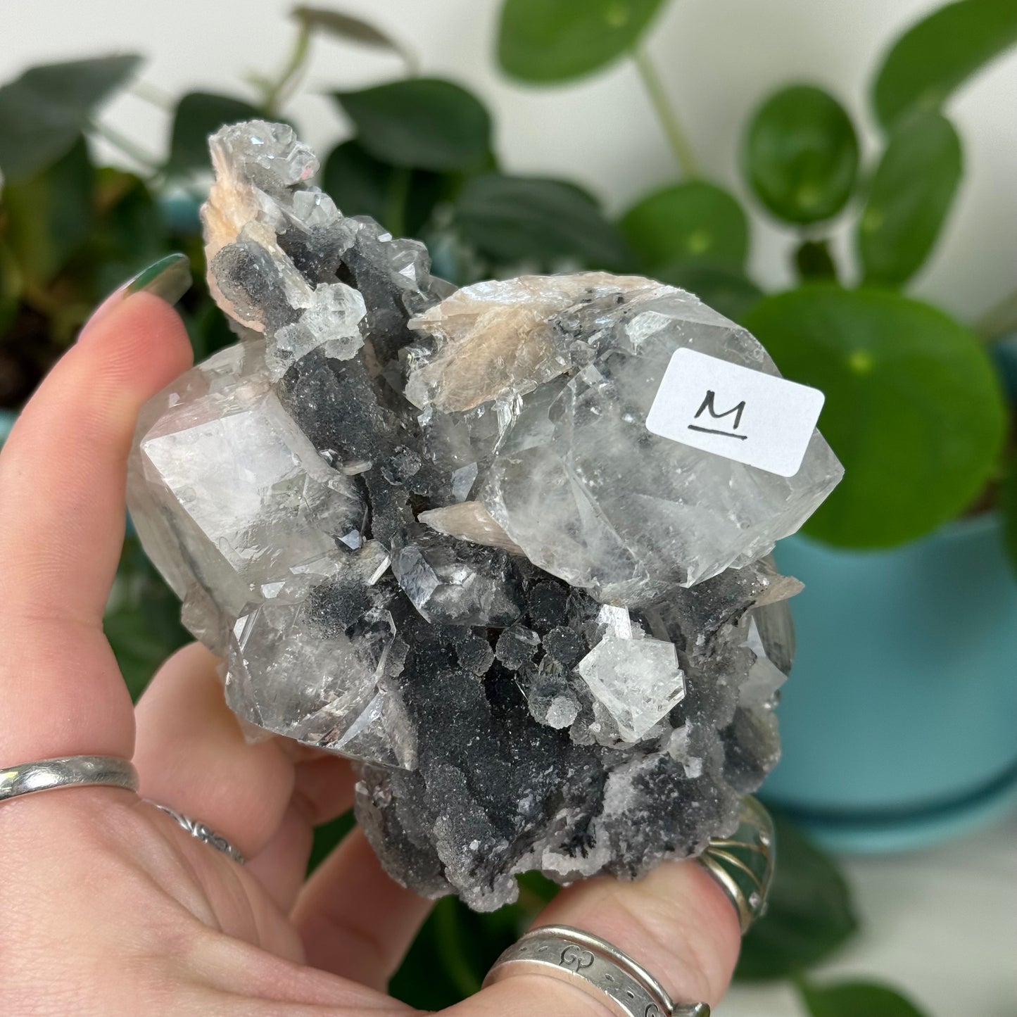 Black Chalcedony with Glossy Apophyllite