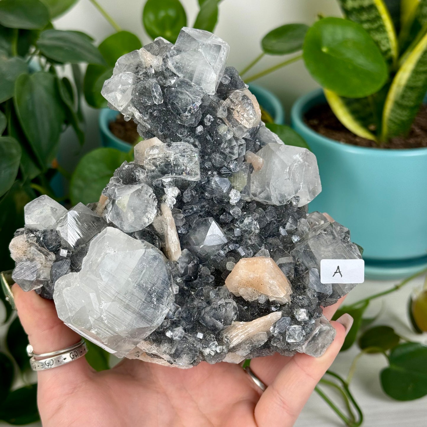Black Chalcedony with Glossy Apophyllite