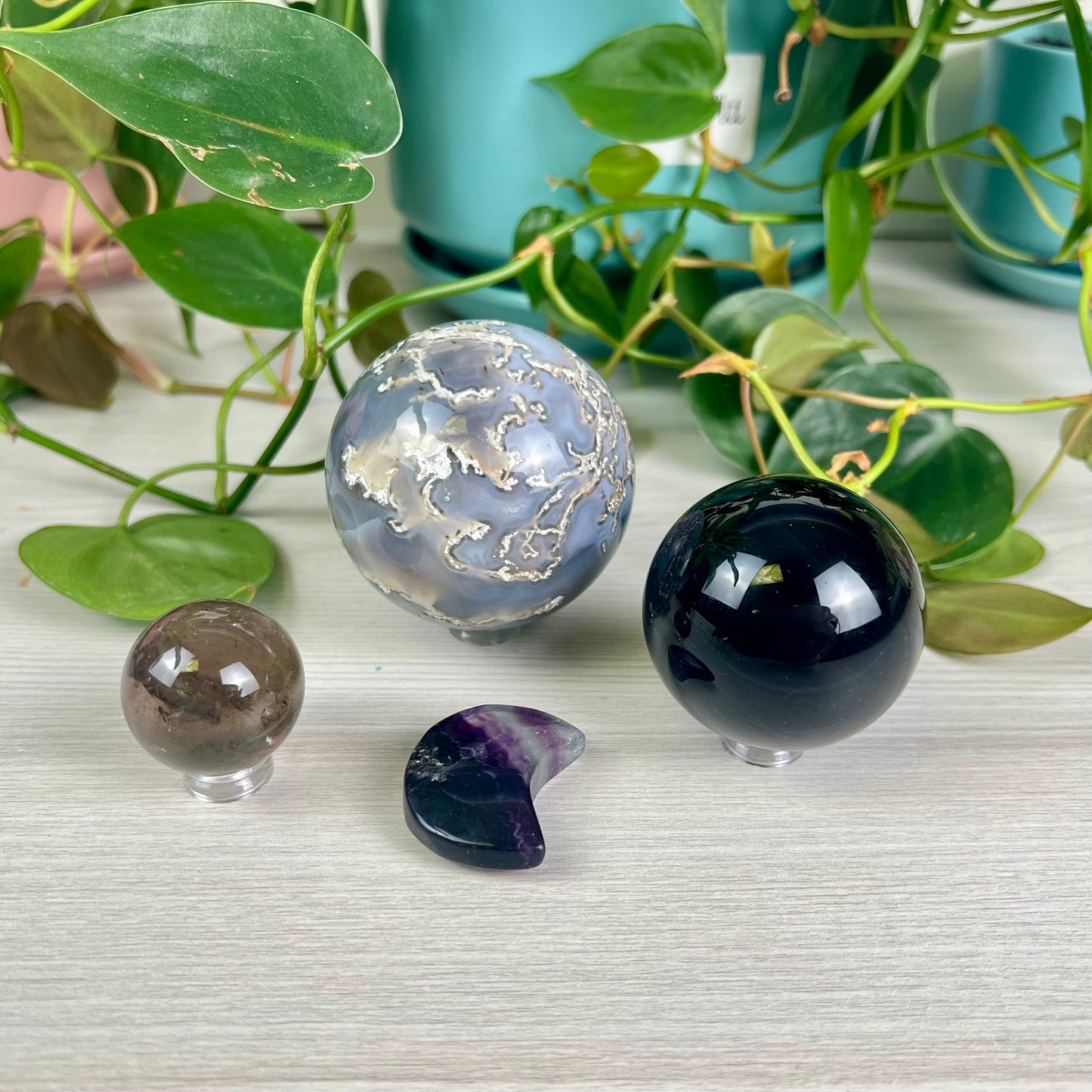 Midnight Forest Bundle