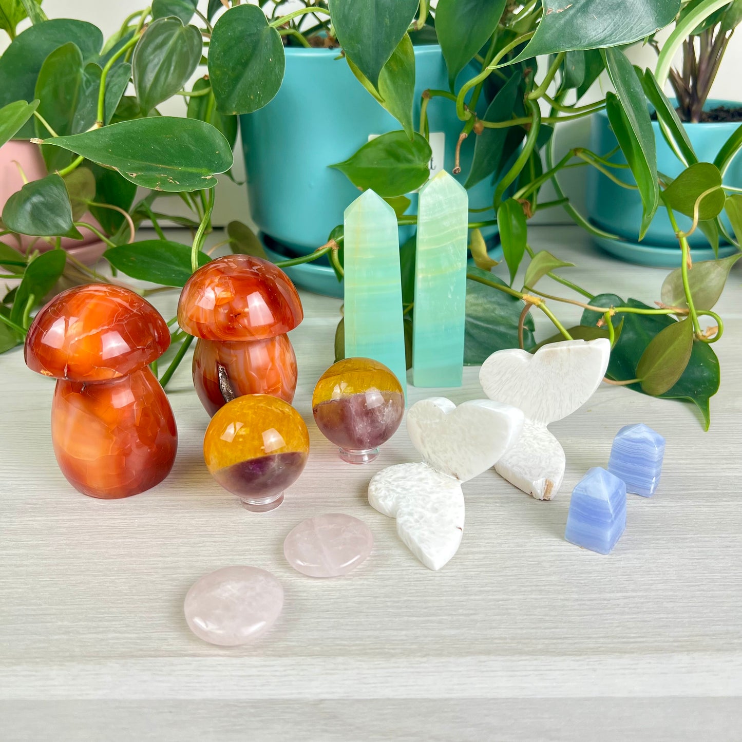 Statement Bundle - N