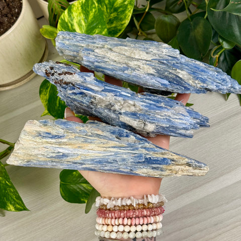 Blue Kyanite Cluster