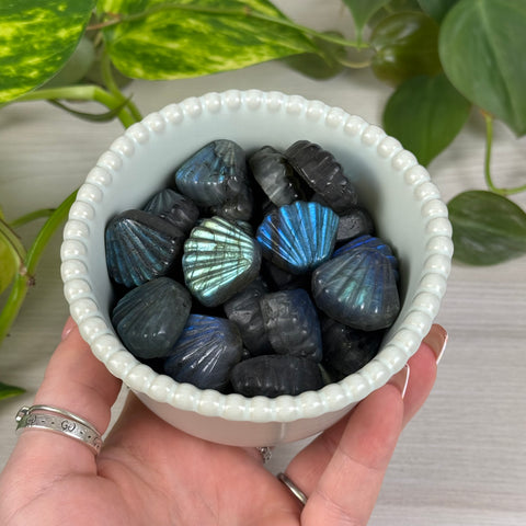Labradorite Seashell