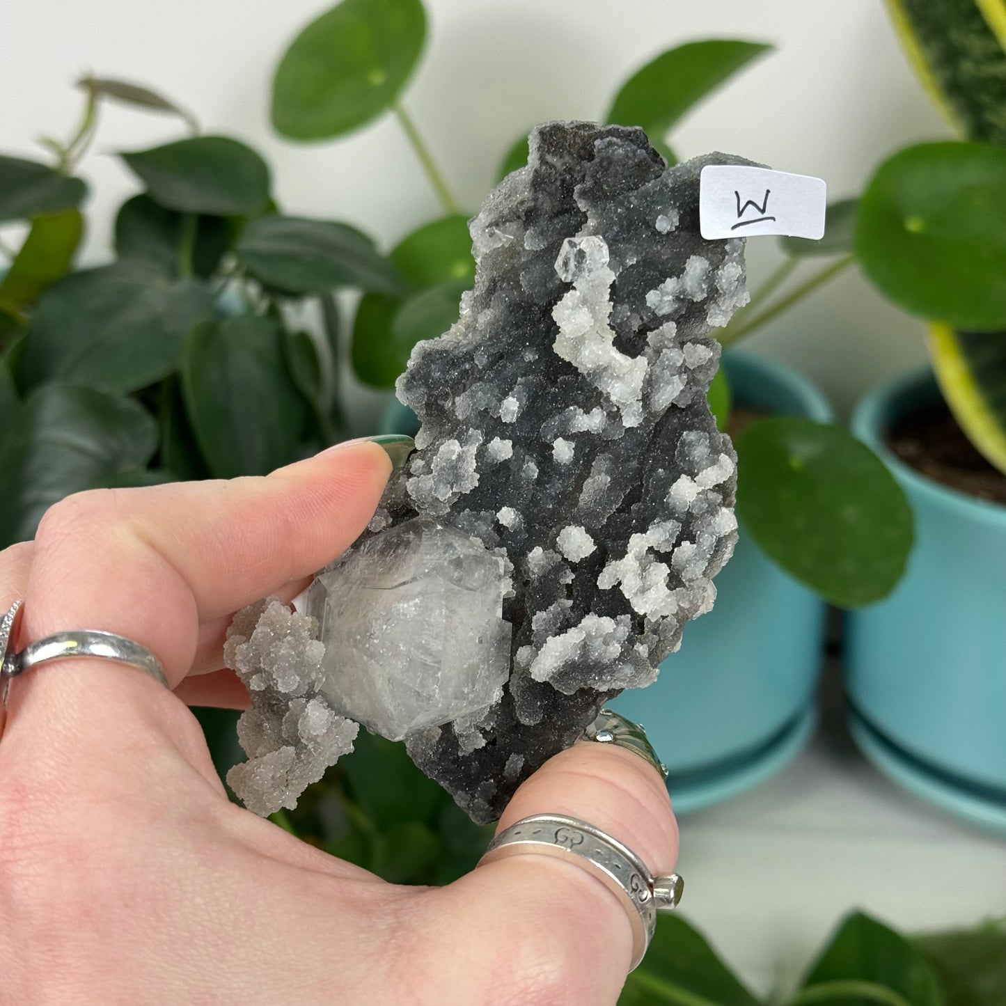Black Chalcedony with Glossy Apophyllite