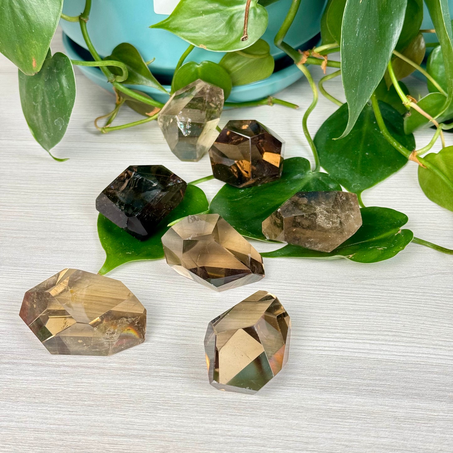 Smoky Quartz Gusher