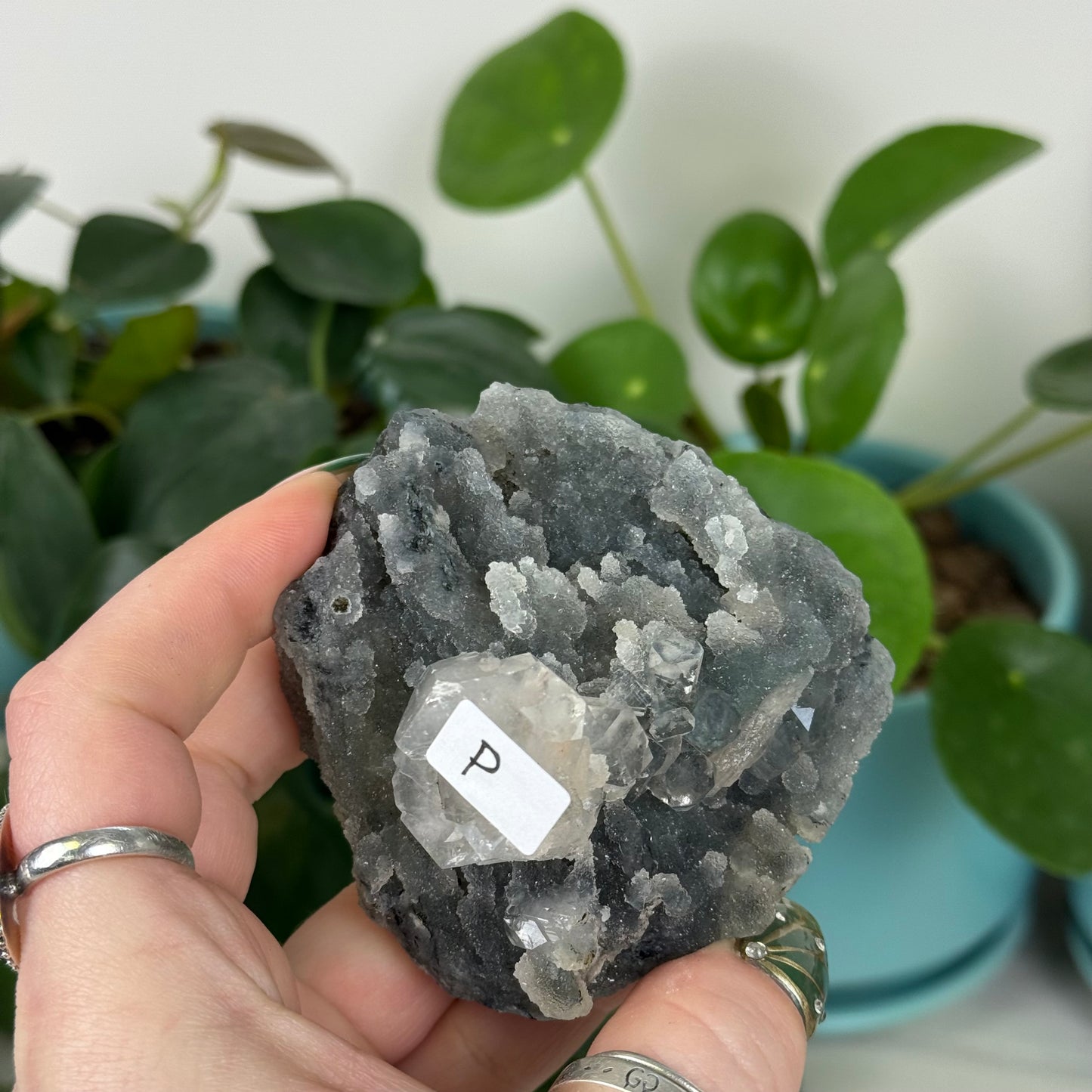 Black Chalcedony with Glossy Apophyllite