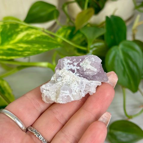 Kunzite Specimen - B