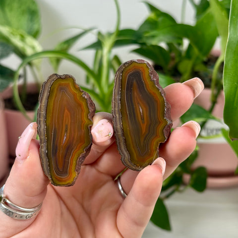 Perfect Malawi Agate Pair