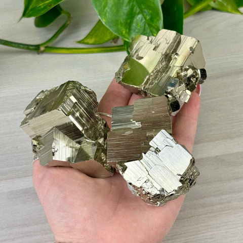 AAA Grade Pyrite Specimen 188 16 - Kenna's Crystals from TikTok