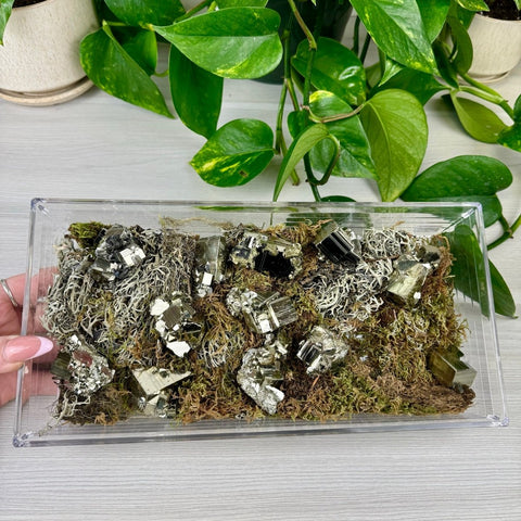 AAA Grade Pyrite Specimen 33 2 - Kenna's Crystals from TikTok