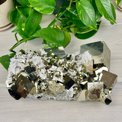 AAA Grade Pyrite Specimen 4634 29 - Kenna's Crystals from TikTok
