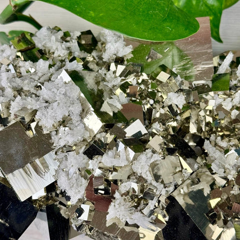 AAA Grade Pyrite Specimen 4634 34 - Kenna's Crystals from TikTok