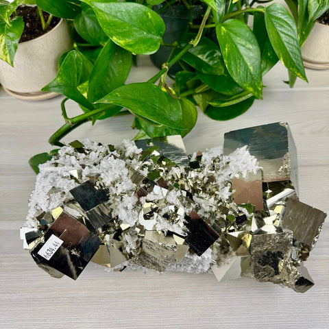AAA Grade Pyrite Specimen 4634 28 - Kenna's Crystals from TikTok