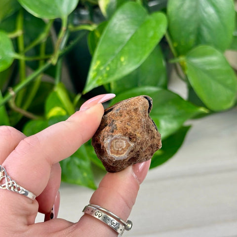 Agate Pairs (Listing M2-X3) - Kenna's Crystals