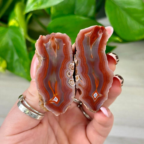 Agate Pairs (Listing M2-X3) - Kenna's Crystals