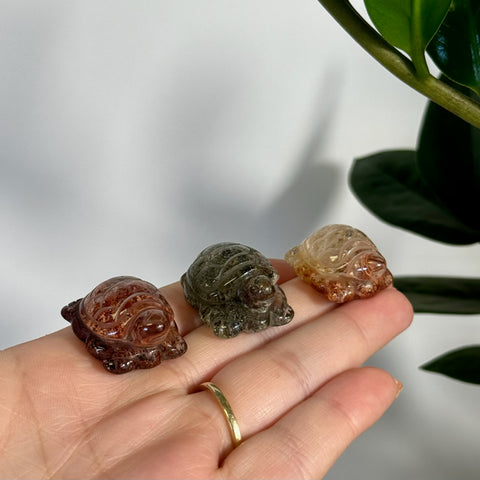 Amazing Mini Garden Quartz Turtle - Kenna's Crystals