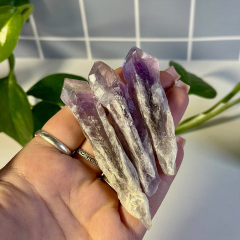 Amethyst Tooth 11 1 - Kenna's Crystals from TikTok