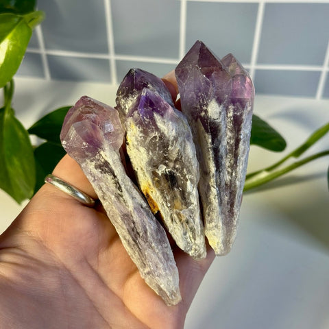 Amethyst Tooth 15 2 - Kenna's Crystals from TikTok
