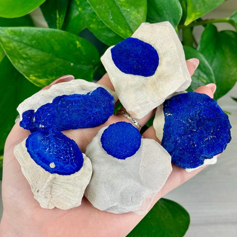 Azurite Sun on Kaolinite Clay 99 5 - Kenna's Crystals from TikTok