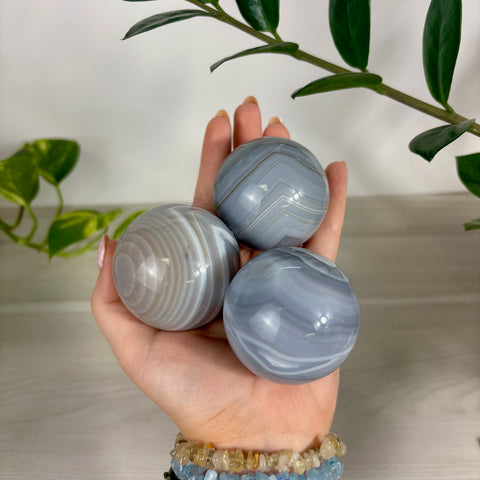Three polished blue and grey banded agate spheres held in a hand against a plant background.