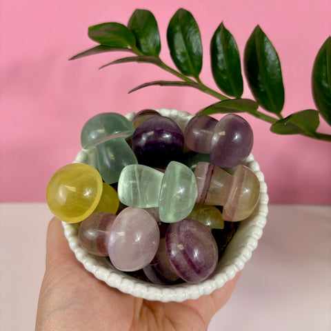 Candy Fluorite Mushroom - Kenna's Crystals