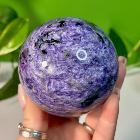 Charoite Sphere B 11 - Kenna's Crystals from TikTok