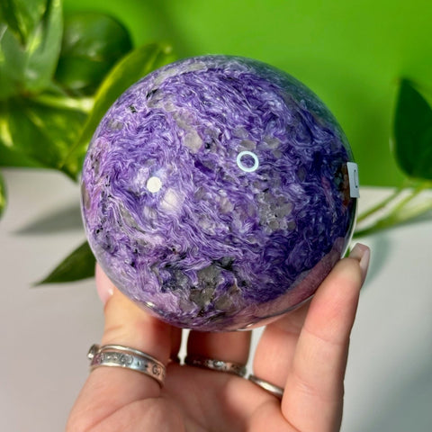 Charoite Sphere C 16 - Kenna's Crystals from TikTok
