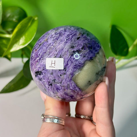 Charoite Sphere H 46 - Kenna's Crystals from TikTok
