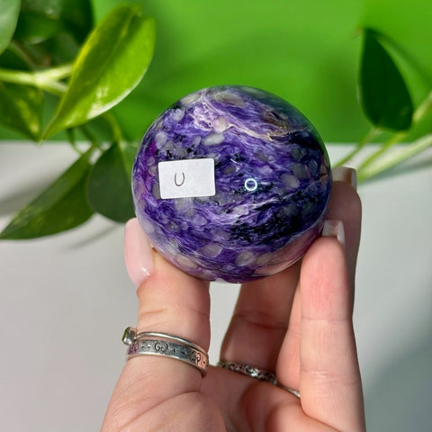 Charoite Sphere U 125 - Kenna's Crystals from TikTok