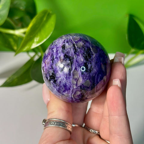 Charoite Sphere X 144 - Kenna's Crystals from TikTok