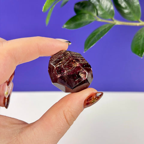 Hand holding a deep red, faceted Cherry Blood Garnet crystal with natural internal inclusions against a blue background.