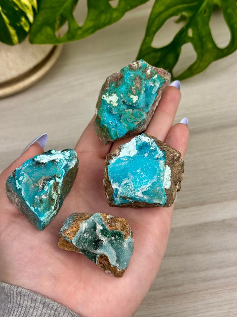 Chrysocolla Specimen 33 20 - Kenna's Crystals from TikTok