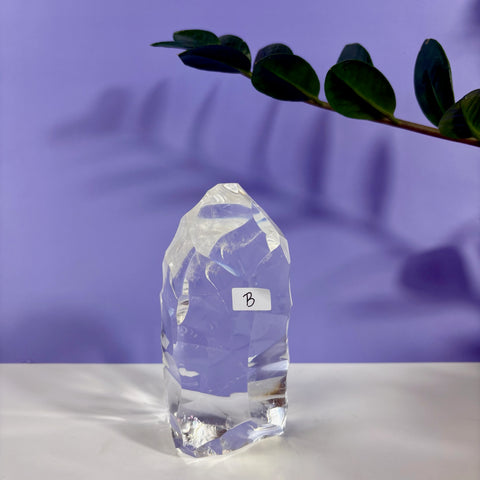 Clear quartz polyhedron crystal labeled B on a white surface against a purple background with a green plant shadow.