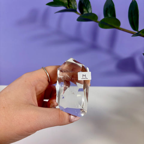 Hand holding a clear quartz polyhedron crystal labeled M against a purple background with green leaves.