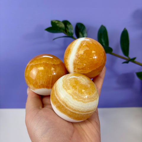 Three polished Creamsicle Calcite spheres with orange and white banded patterns held in a hand.
