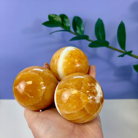 Three polished Creamsicle Calcite spheres with orange and white banding held in a hand against a purple background.