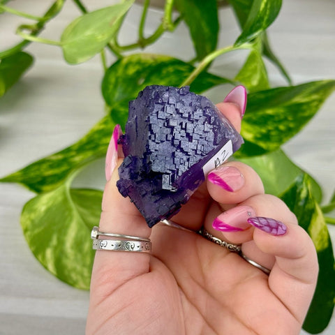 Cubic Purple Fluorite Specimen A2 27 - Kenna's Crystals from TikTok