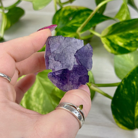 Cubic Purple Fluorite Specimen A3 53 - Kenna's Crystals from TikTok