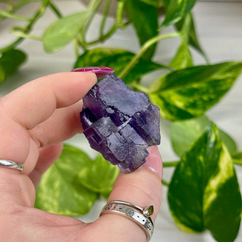 Cubic Purple Fluorite Specimen A4 79 - Kenna's Crystals from TikTok