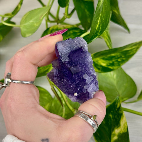 Cubic Purple Fluorite Specimen B2 28 - Kenna's Crystals from TikTok