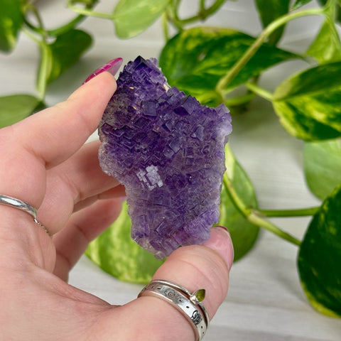Cubic Purple Fluorite Specimen B3 54 - Kenna's Crystals from TikTok