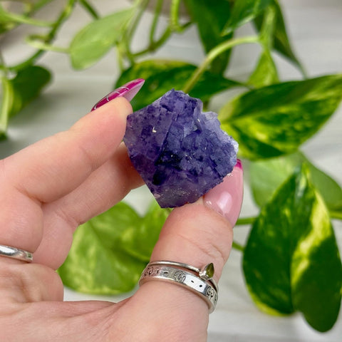 Cubic Purple Fluorite Specimen B4 80 - Kenna's Crystals from TikTok