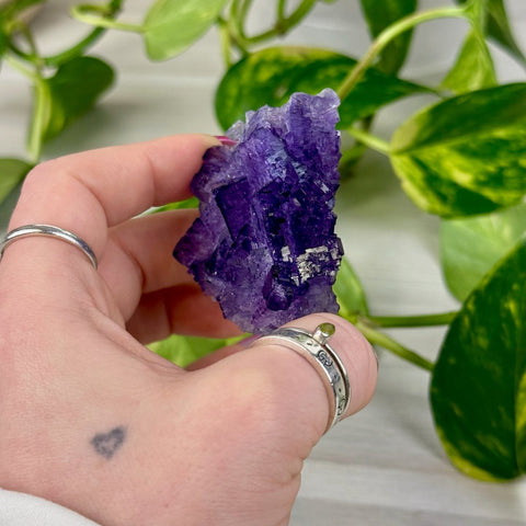 Cubic Purple Fluorite Specimen C3 55 - Kenna's Crystals from TikTok