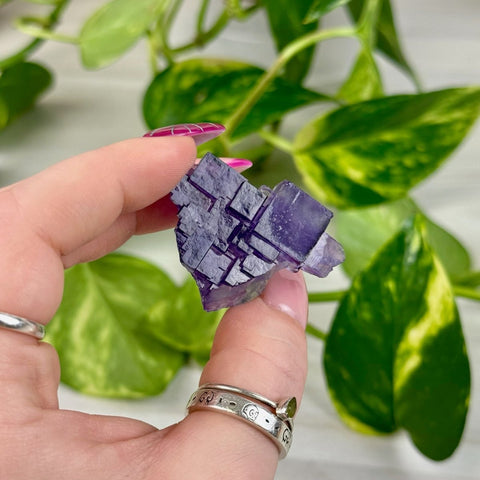 Cubic Purple Fluorite Specimen C4 81 - Kenna's Crystals from TikTok