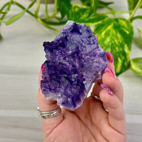 Cubic Purple Fluorite Specimen D 5 - Kenna's Crystals from TikTok