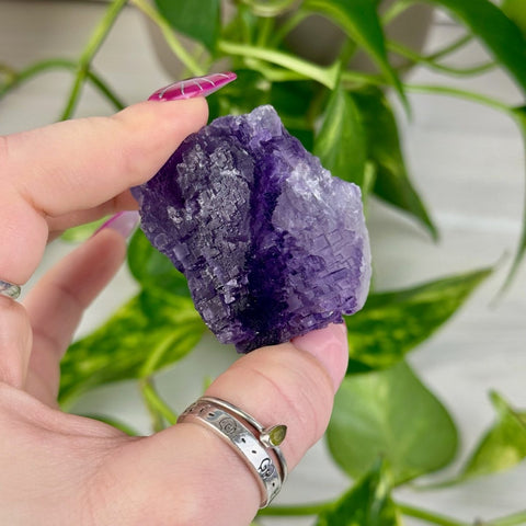 Cubic Purple Fluorite Specimen D2 30 - Kenna's Crystals from TikTok
