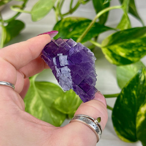 Cubic Purple Fluorite Specimen D3 56 - Kenna's Crystals from TikTok