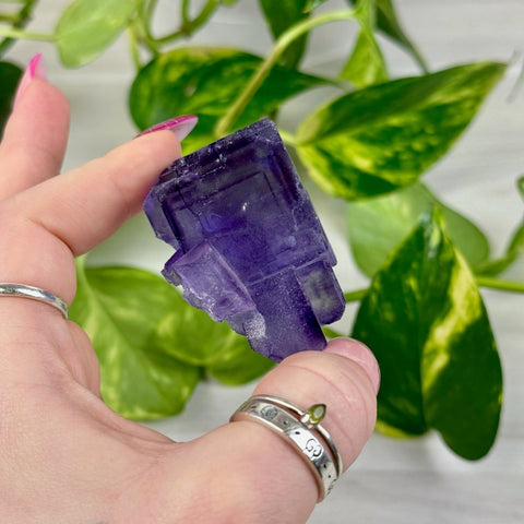 Cubic Purple Fluorite Specimen E2 31 - Kenna's Crystals from TikTok