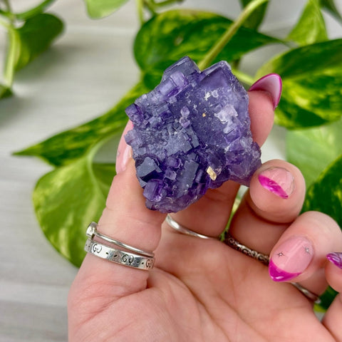 Cubic Purple Fluorite Specimen E3 57 - Kenna's Crystals from TikTok